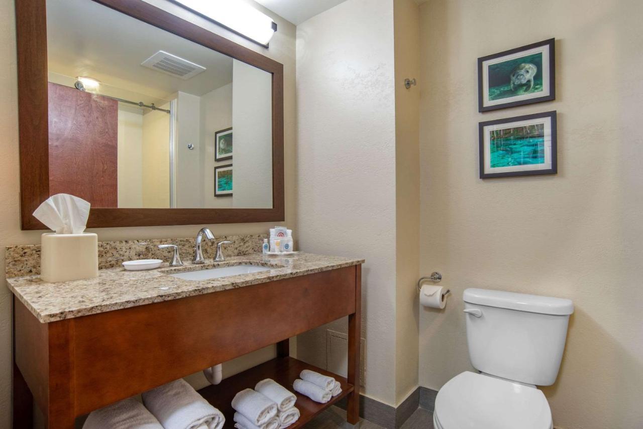 Comfort Suites Tallahassee Capitol - University Area Phòng bức ảnh